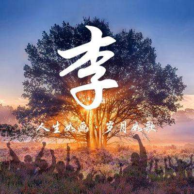 艾泽战纪游戏